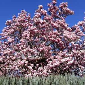 Meet your Posher, Corinne